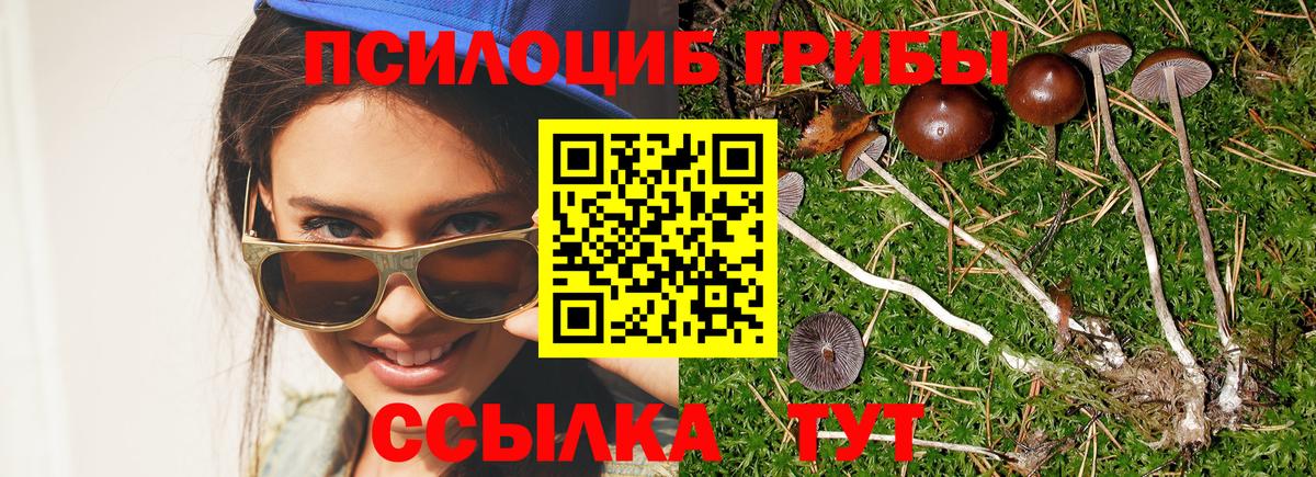 Галлюциногенные грибы прущие грибы  Вход с VPN  купить закладку  Кириши 